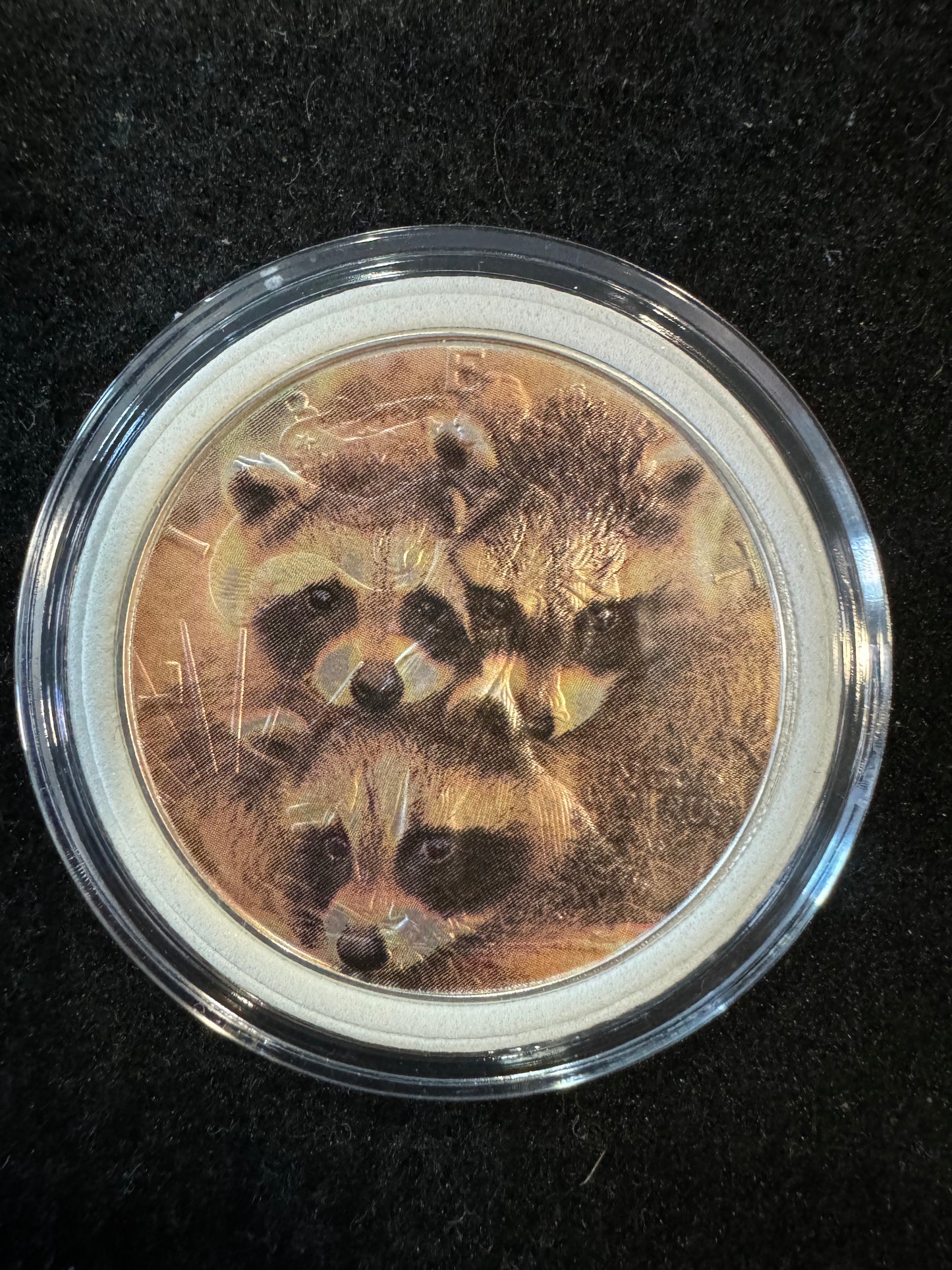 2024 American Eagle Lady Liberty Cute Raccoons 1oz .999 Silver Coin