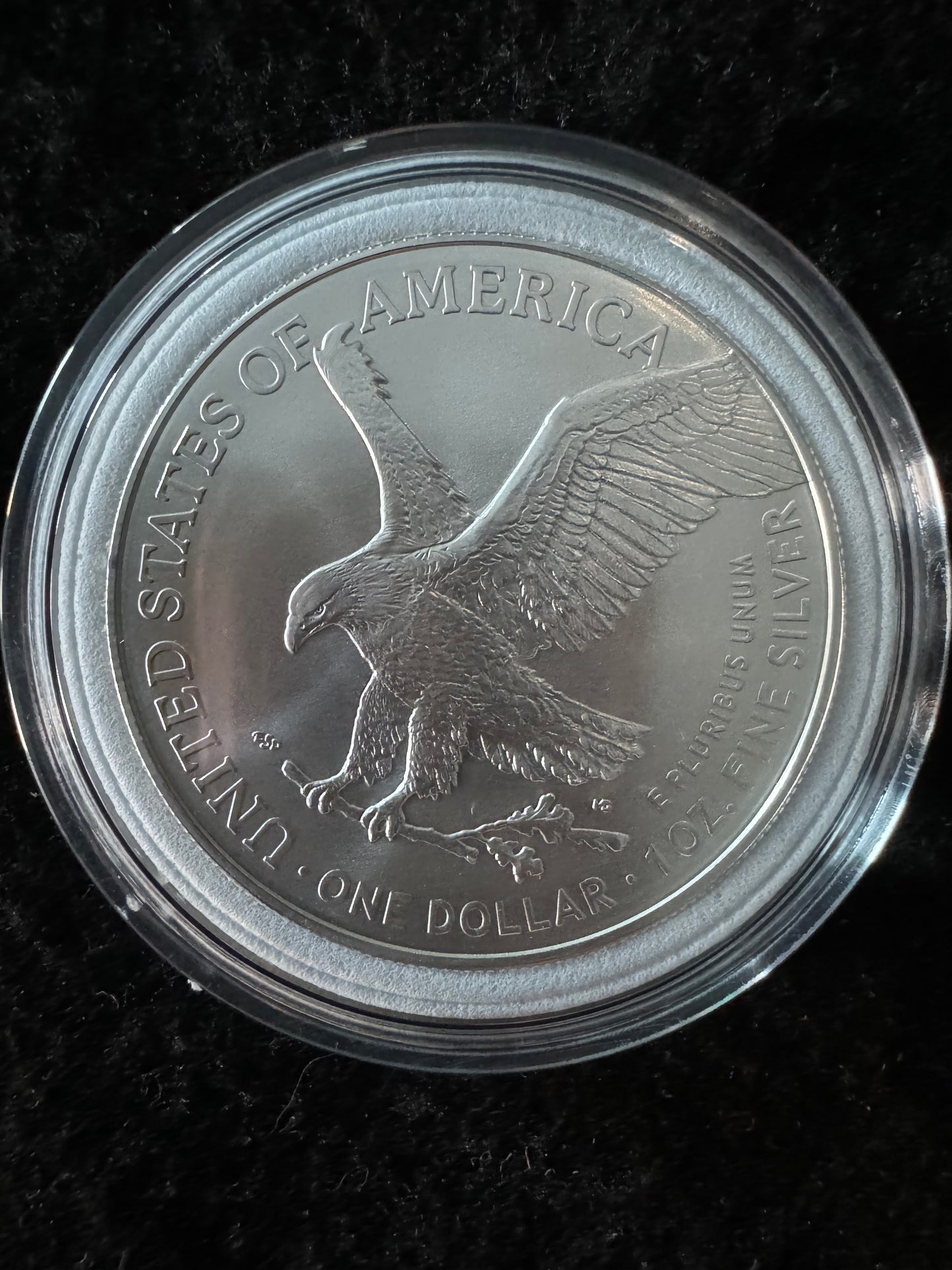 2024 American Eagle Lady Liberty Cute Raccoons 1oz .999 Silver Coin