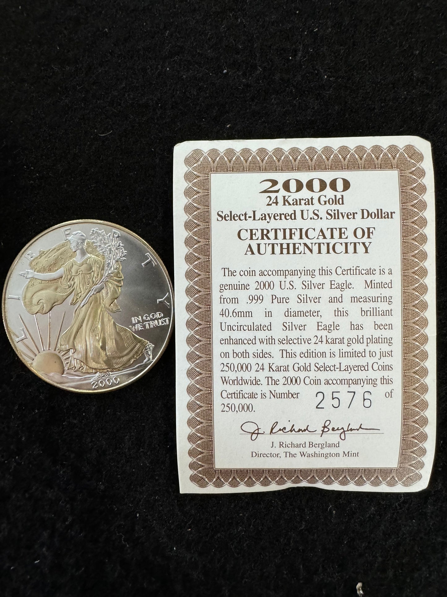 2000 American Eagle Lady Liberty 1oz .999 Silver Coin w/24k Gold Gilding