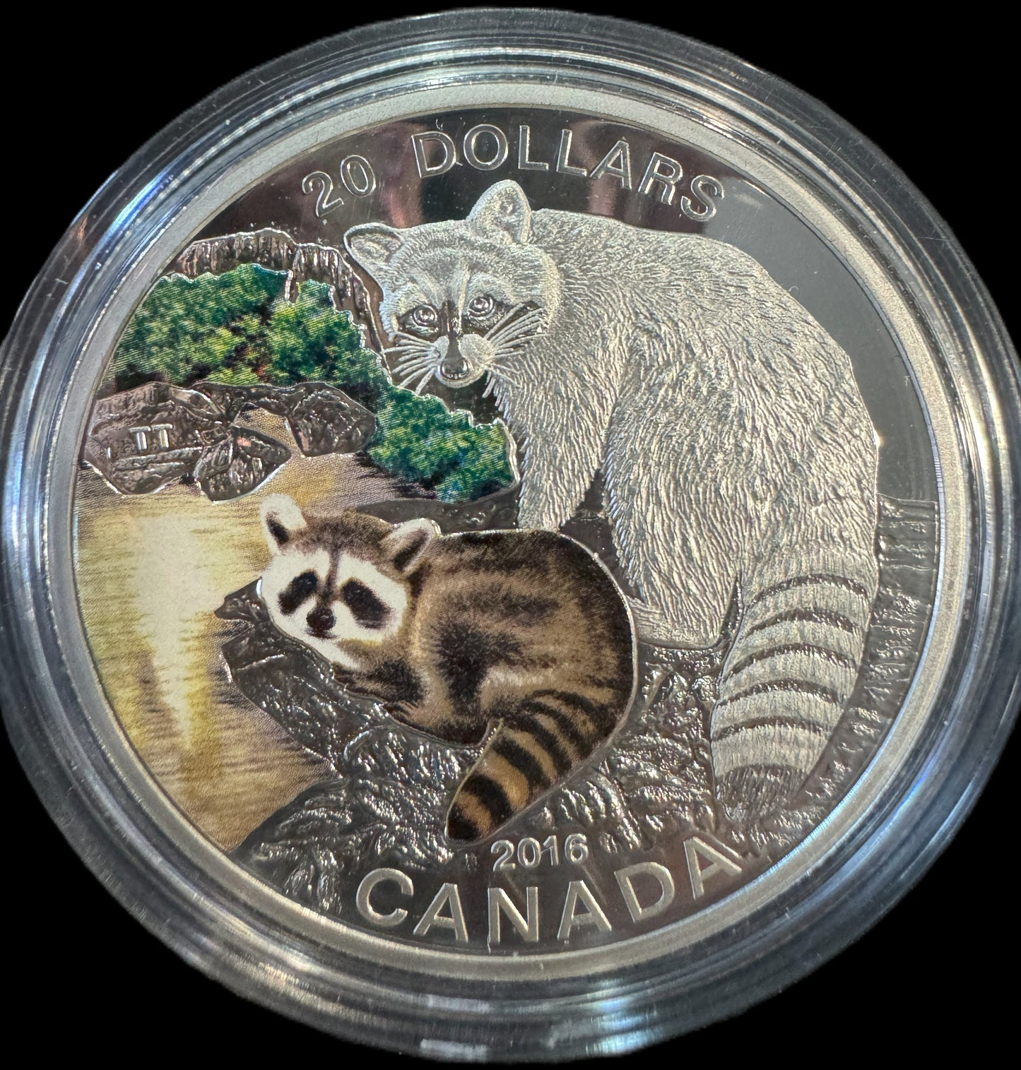 2016 Baby Racoon 1 oz .999 Silver Coin