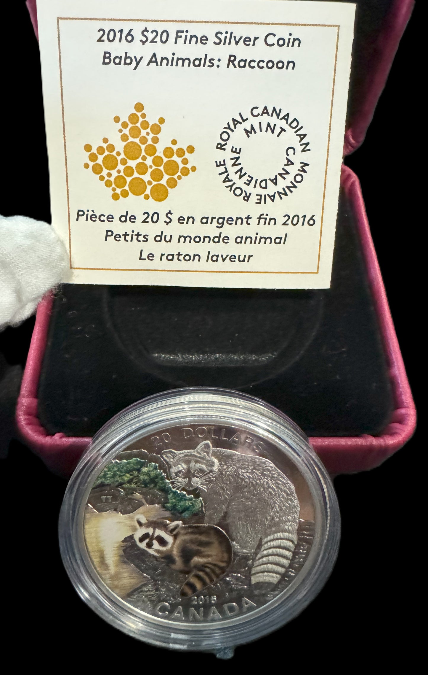 2016 Baby Racoon 1 oz .999 Silver Coin