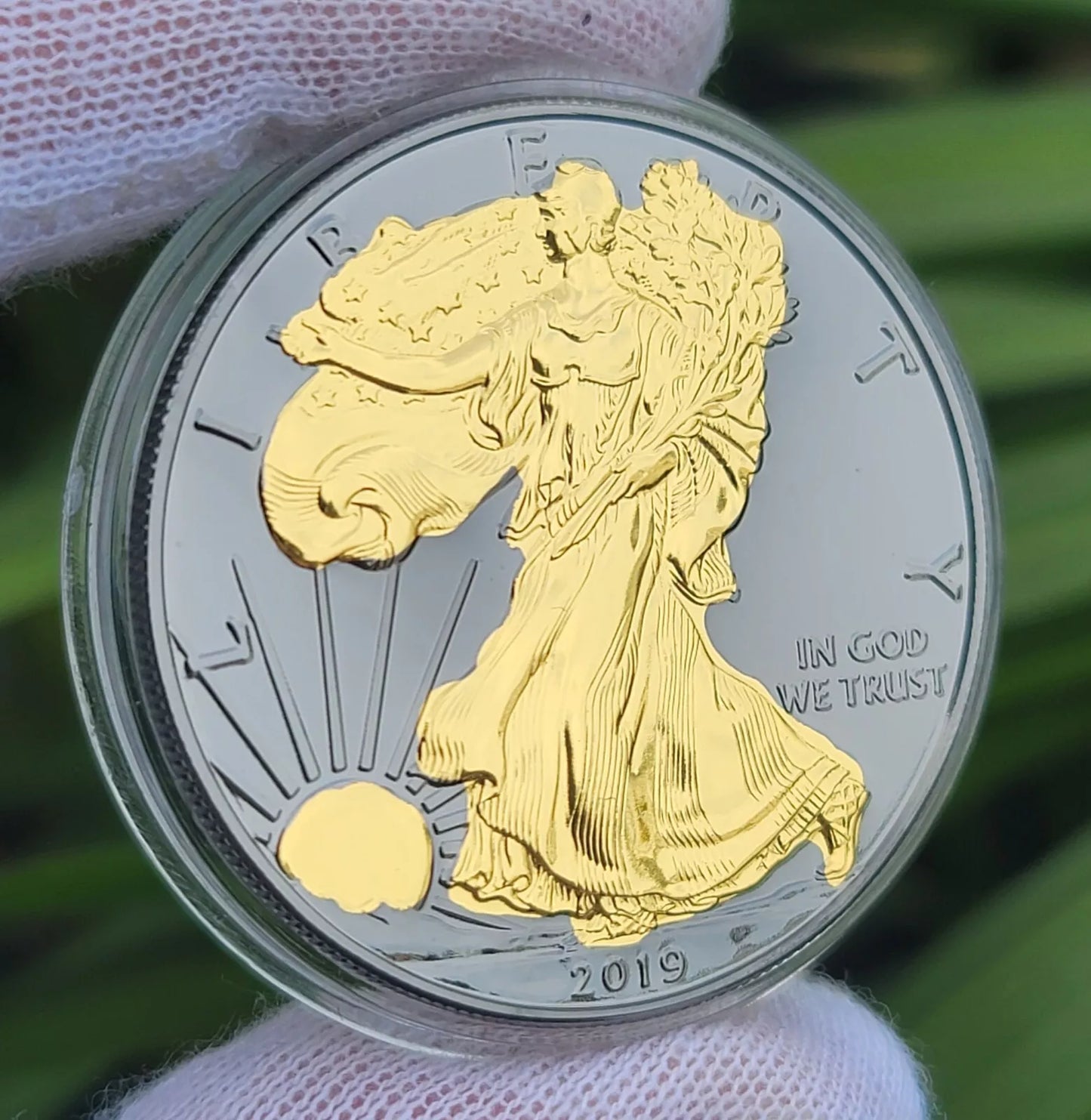 2019 American Eagle Lady Liberty Ruthenium 1oz .999 Silver Coin 24k Gold Gilding