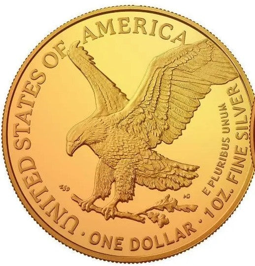 2024 American Eagle Lady Liberty Gold 1oz .999 Silver Coin w24k Gold Gilding