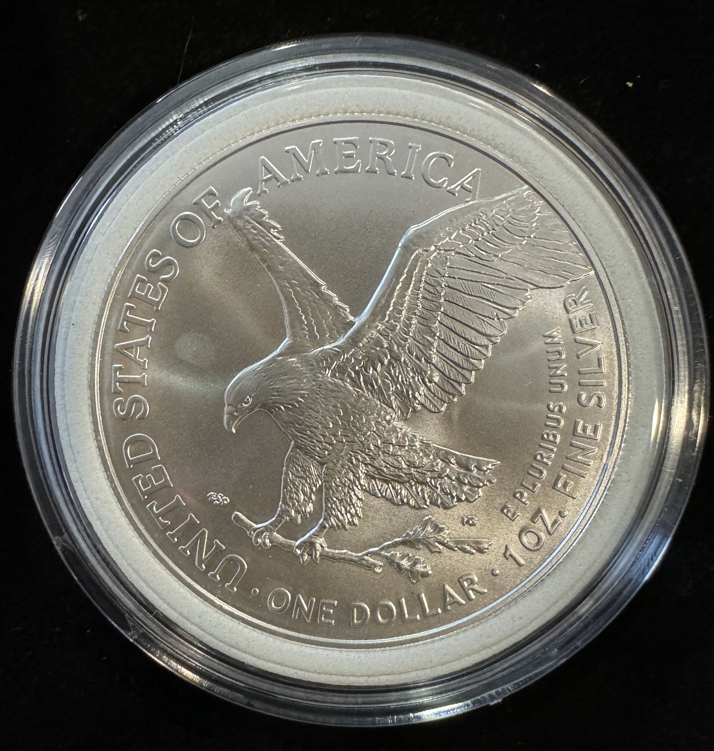 2024 American Eagle Lady Liberty US Honor Duty Pride 1oz .999 Silver Coin